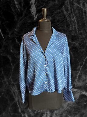 Zara Blue Printed Button-Down Blouse